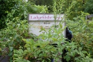 An overgrown gas pump, labeled 'Lakeside Gas,' is nearly obscured by thick vegetation. The pump’s numbers are faded, and rust is visible, showing years of disuse. The scene captures the slow, quiet reclamation of man-made structures by nature.